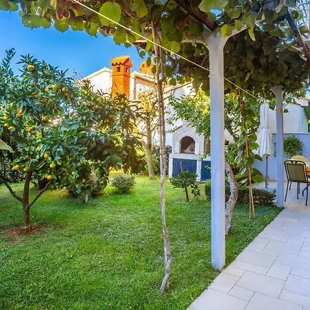 Apartament Maretic *